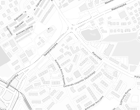 Mapa z adresem organizacji