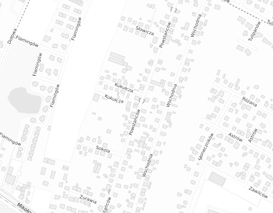 Mapa z adresem organizacji