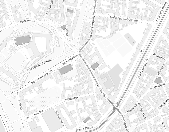Mapa z adresem organizacji
