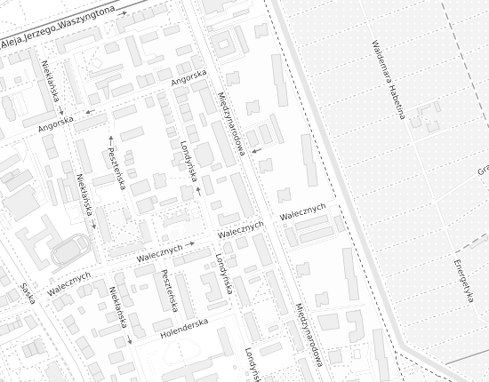 Mapa z adresem organizacji