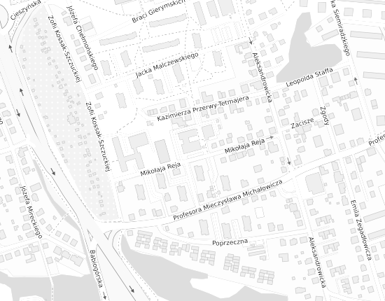 Mapa z adresem organizacji