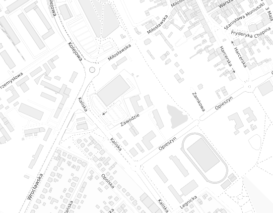 Mapa z adresem organizacji