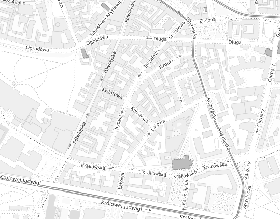 Mapa z adresem organizacji