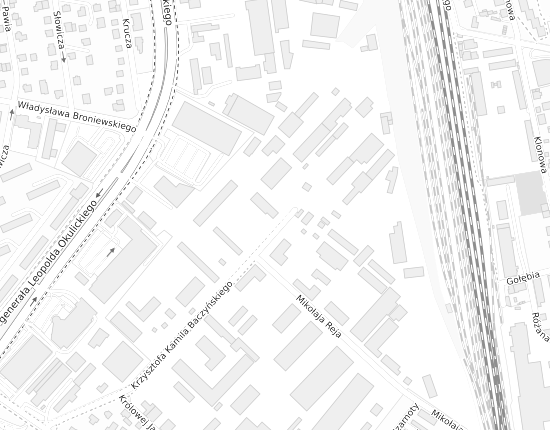 Mapa z adresem organizacji