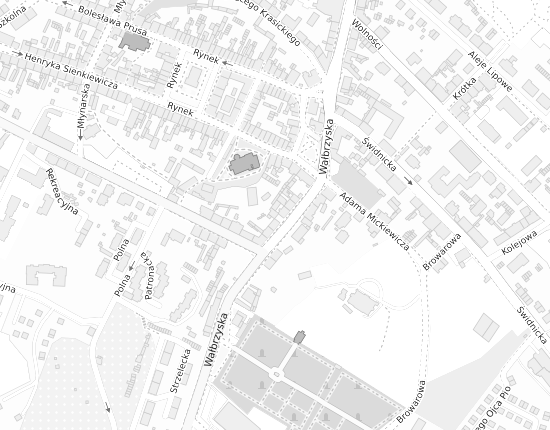 Mapa z adresem organizacji