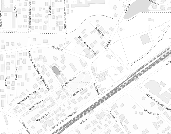 Mapa z adresem organizacji