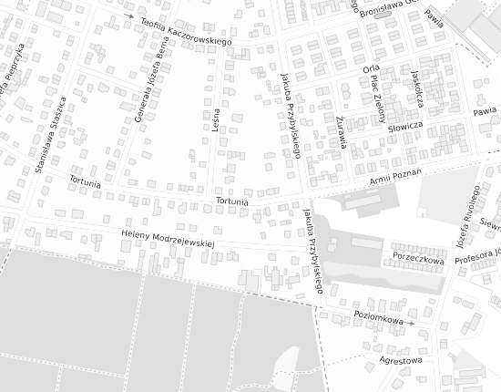 Mapa z adresem organizacji