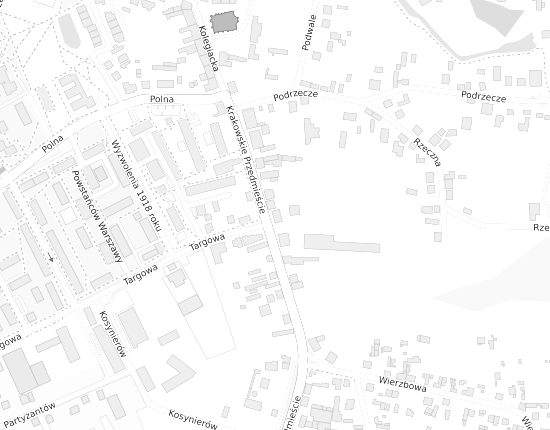 Mapa z adresem organizacji