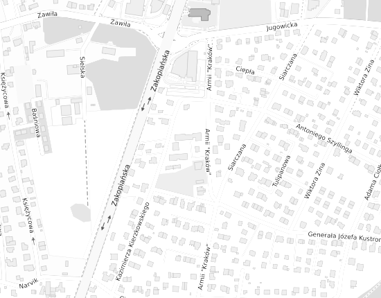 Mapa z adresem organizacji