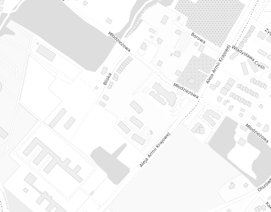 Mapa z adresem organizacji