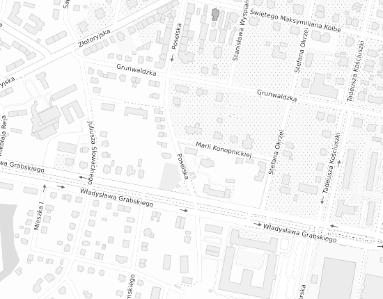 Mapa z adresem organizacji
