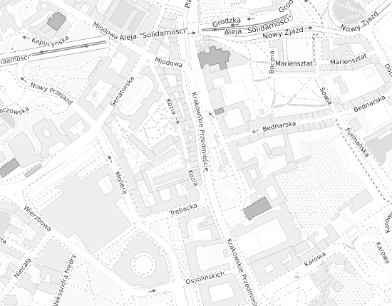 Mapa z adresem organizacji