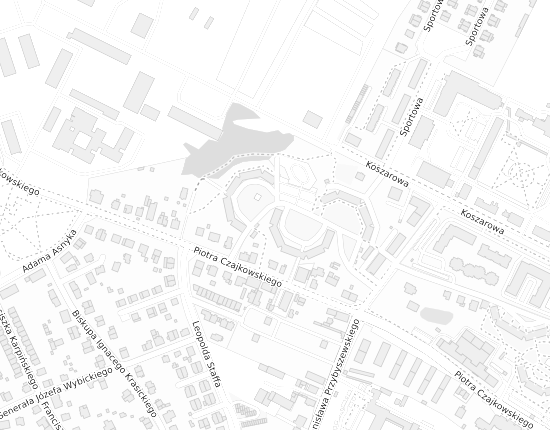 Mapa z adresem organizacji