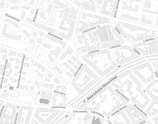 Mapa z adresem organizacji