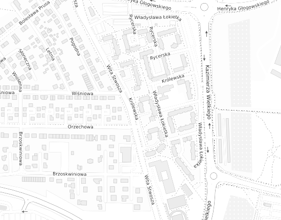 Mapa z adresem organizacji