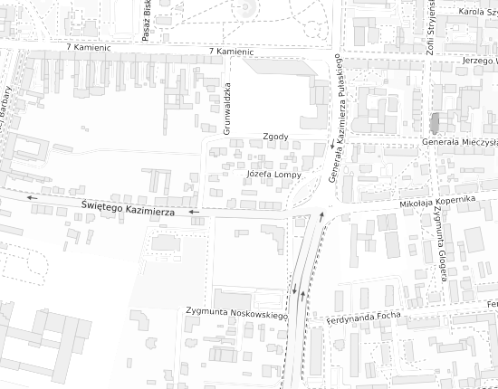 Mapa z adresem organizacji