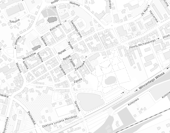 Mapa z adresem organizacji