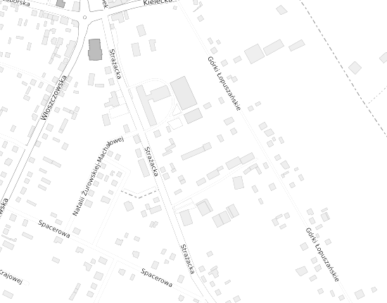 Mapa z adresem organizacji