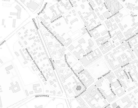 Mapa z adresem organizacji