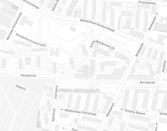 Mapa z adresem organizacji