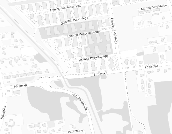 Mapa z adresem organizacji