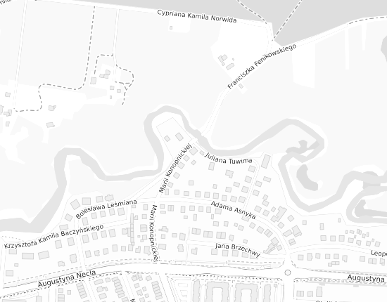 Mapa z adresem organizacji