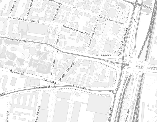 Mapa z adresem organizacji