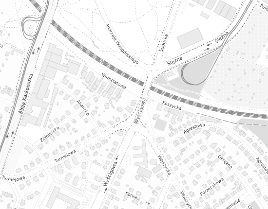 Mapa z adresem organizacji