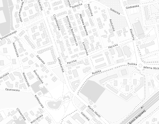 Mapa z adresem organizacji