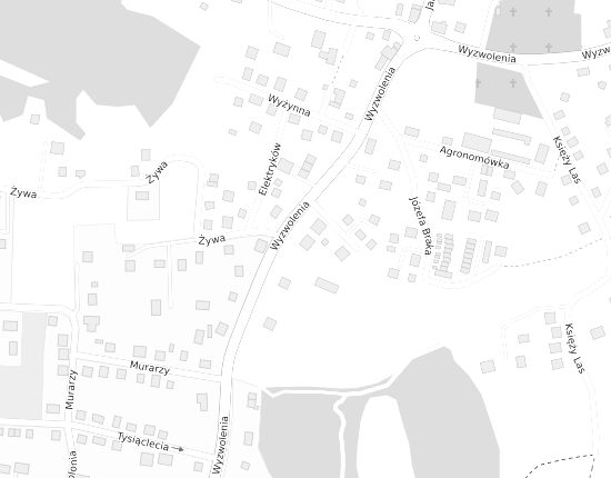 Mapa z adresem organizacji
