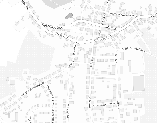 Mapa z adresem organizacji