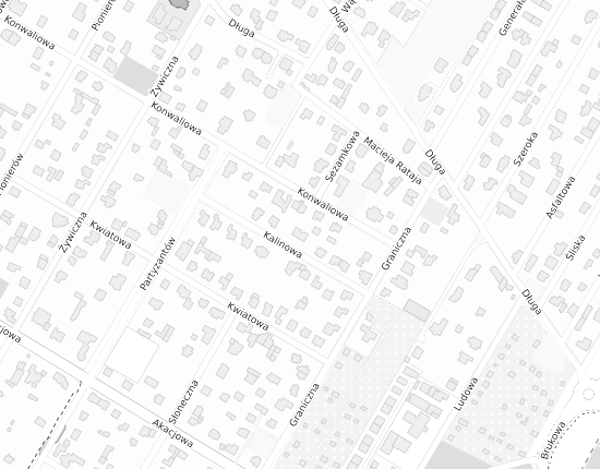 Mapa z adresem organizacji