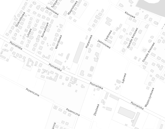 Mapa z adresem organizacji
