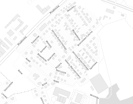 Mapa z adresem organizacji
