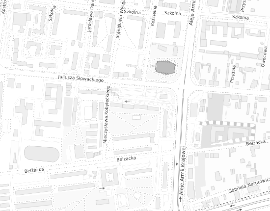 Mapa z adresem organizacji