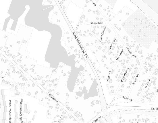 Mapa z adresem organizacji