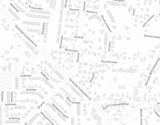 Mapa z adresem organizacji