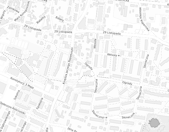 Mapa z adresem organizacji
