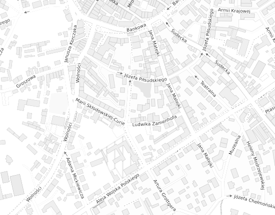 Mapa z adresem organizacji