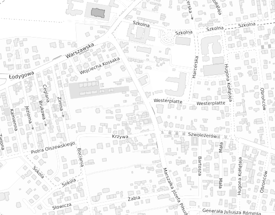 Mapa z adresem organizacji