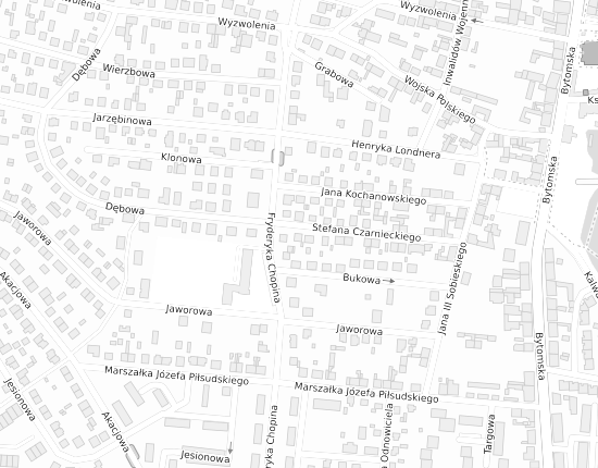 Mapa z adresem organizacji