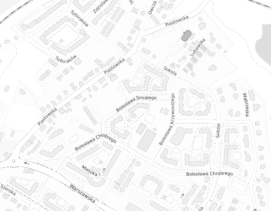 Mapa z adresem organizacji