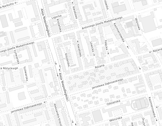 Mapa z adresem organizacji