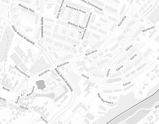 Mapa z adresem organizacji