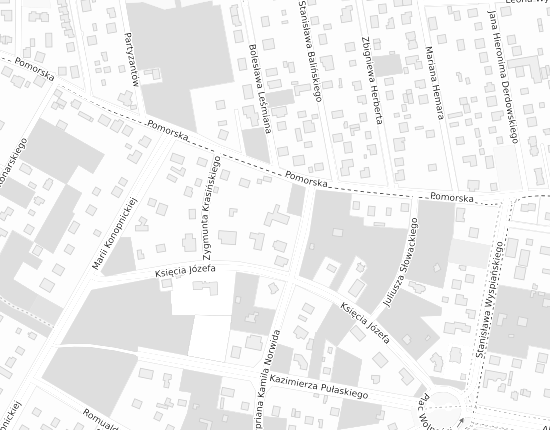 Mapa z adresem organizacji