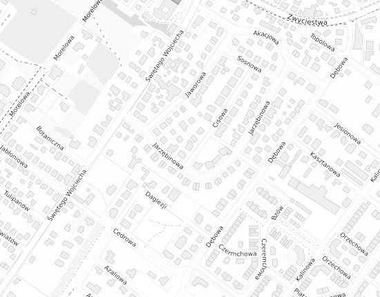 Mapa z adresem organizacji