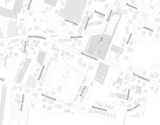 Mapa z adresem organizacji