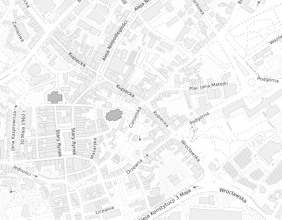 Mapa z adresem organizacji