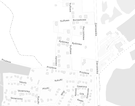 Mapa z adresem organizacji