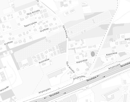 Mapa z adresem organizacji